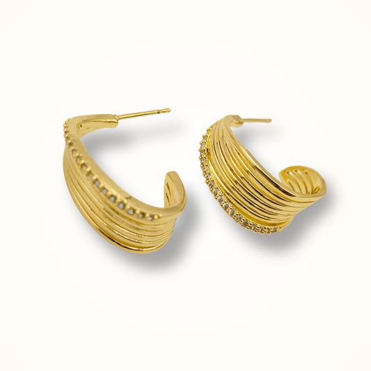 Darya Hoops