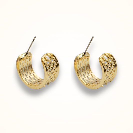 Mahsa Hoops
