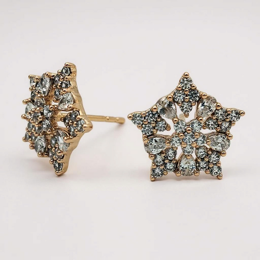 Star Gleam Studs