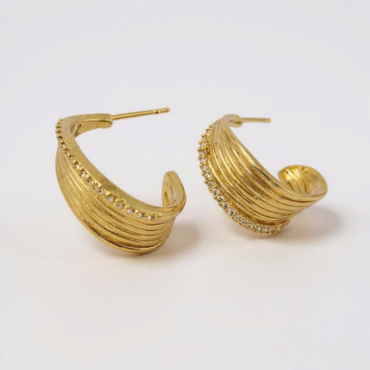 Darya Hoops